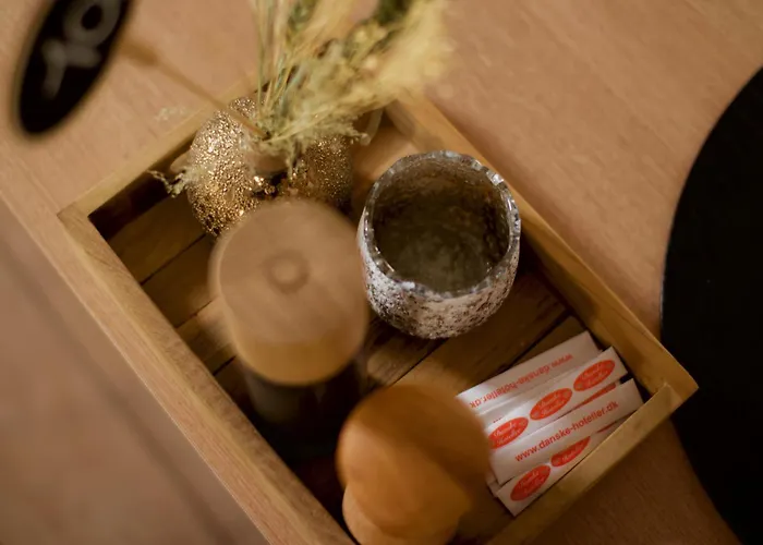 Falken Hotel Videbæk